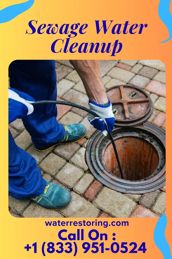 Sewage Water Cleanup in New Summerfield, TX